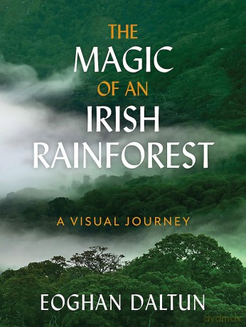 The Magic of an Irish Rainforest: A Visual Journey [KSIĄŻKA]