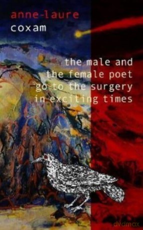 The Male and the Female Poet Go to the Surgery in Exciting Times: and Other Poems [KSIĄŻKA]