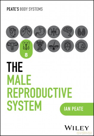 The Male Reproductive System [KSIĄŻKA]