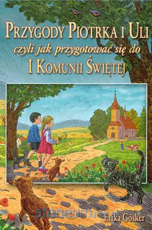 Przygody Piotrka i Uli TW WDS [KSIĄŻKA]
