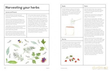 The Medicinal Garden: Treat, feed and soothe straight from your garden [KSIĄŻKA]