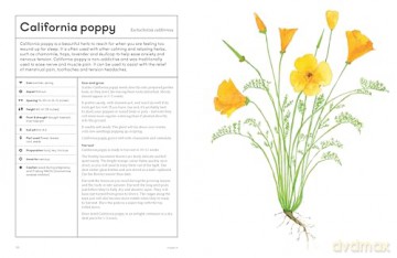 The Medicinal Garden: Treat, feed and soothe straight from your garden [KSIĄŻKA]