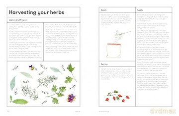 The Medicinal Garden: Treat, feed and soothe straight from your garden [KSIĄŻKA]