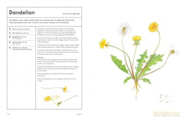 The Medicinal Garden: Treat, feed and soothe straight from your garden [KSIĄŻKA]