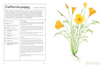The Medicinal Garden: Treat, feed and soothe straight from your garden [KSIĄŻKA]
