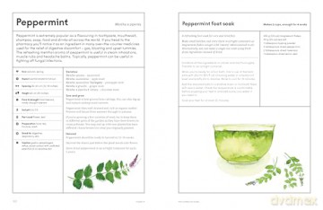 The Medicinal Garden: Treat, feed and soothe straight from your garden [KSIĄŻKA]