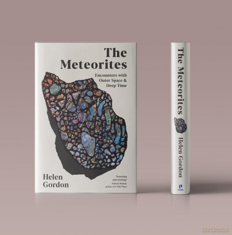 The Meteorites: Encounters with Outer Space and Deep Time [KSIĄŻKA]