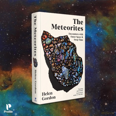 The Meteorites: Encounters with Outer Space and Deep Time [KSIĄŻKA]