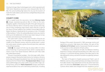 The Mini Rough Guide to Ireland: Travel Guide with eBook [KSIĄŻKA]