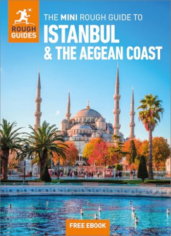 The Mini Rough Guide to Istanbul and the Aegean Coast: Travel Guide with eBook [KSIĄŻKA]