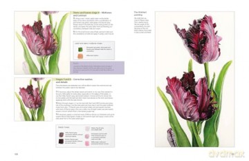 The Modern Flower Painter [KSIĄŻKA]