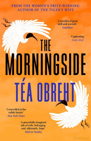 The Morningside: Longlisted for the Climate Fiction Prize [KSIĄŻKA]