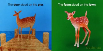 The Newt Put on a Suit: and other reading rhymes [KSIĄŻKA]