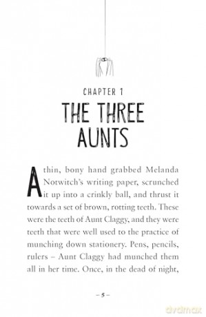 The Notwitches: a big-hearted, funny adventure story for ages 7+ [KSIĄŻKA]
