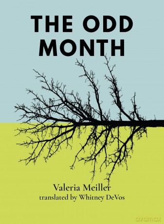 The Odd Month [KSIĄŻKA]
