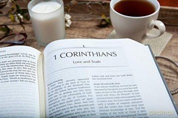 The Passion Translation New Testament [KSIĄŻKA]