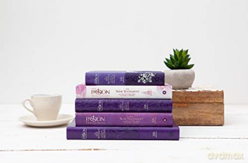 The Passion Translation New Testament [KSIĄŻKA]