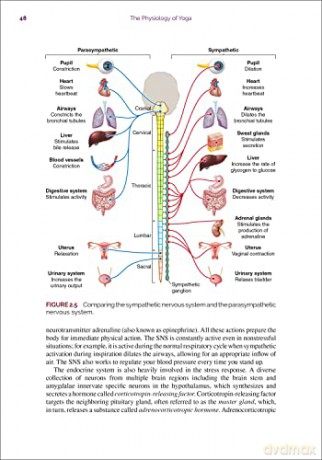 The Physiology of Yoga [KSIĄŻKA]