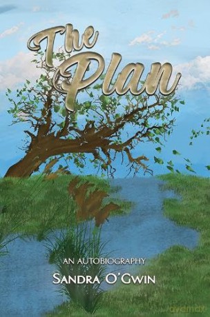 The Plan [KSIĄŻKA]