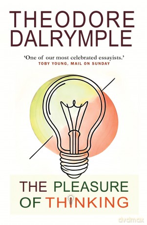 The Pleasure of Thinking: The Serindipity of Ideas: A Journey Through the Sideways Leaps of Ideas [KSIĄŻKA]