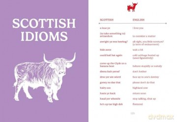 The Pocket Scottish English [KSIĄŻKA]