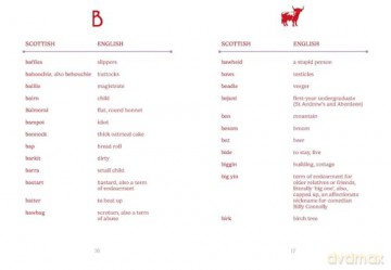 The Pocket Scottish English [KSIĄŻKA]