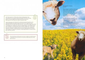 The Poetry Business School: Poems to change your life - poetry for life, business, and inspiration [KSIĄŻKA]
