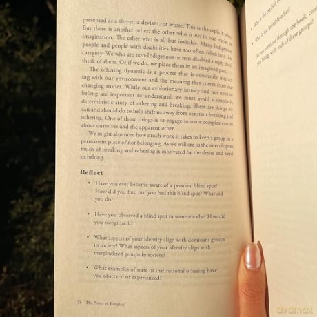 The Power of Bridging: How to Build a World Where We All Belong [KSIĄŻKA]