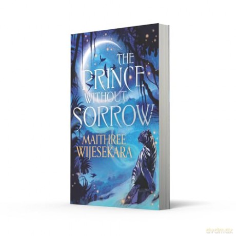 The Prince Without Sorrow: The epic and gripping fantasy debut sensation of 2025: Book 1 [KSIĄŻKA]