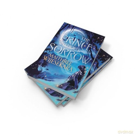 The Prince Without Sorrow: The epic and gripping fantasy debut sensation of 2025: Book 1 [KSIĄŻKA]