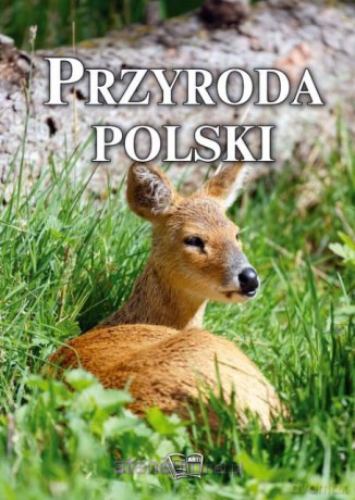 Przyroda Polski [KSIĄŻKA]