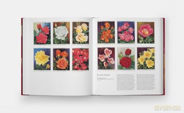 The Rose Book [KSIĄŻKA]