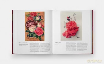 The Rose Book [KSIĄŻKA]
