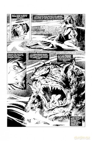 The Savage Sword of Conan: The Original Comics Omnibus Vol.4 [KSIĄŻKA]
