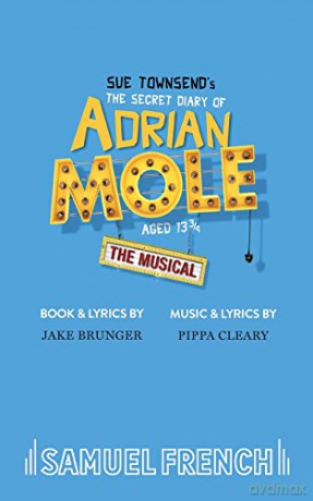 The Secret Diary of Adrian Mole Aged 13 [KSIĄŻKA]