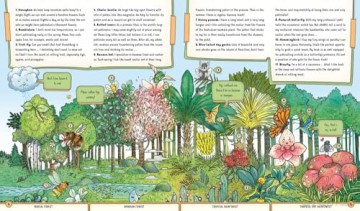 The Secret Life of the Forest: Trees, Animals, and Fungi [KSIĄŻKA]