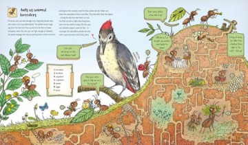 The Secret Life of the Forest: Trees, Animals, and Fungi [KSIĄŻKA]