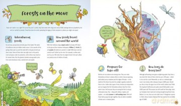 The Secret Life of the Forest: Trees, Animals, and Fungi [KSIĄŻKA]