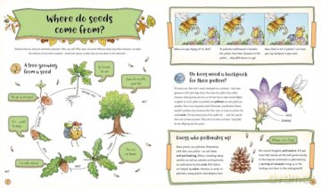 The Secret Life of the Forest: Trees, Animals, and Fungi [KSIĄŻKA]