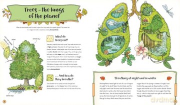 The Secret Life of the Forest: Trees, Animals, and Fungi [KSIĄŻKA]