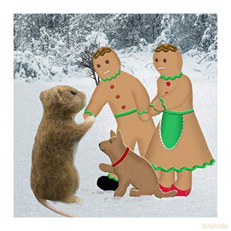 The Secret of Gingerbread Village: A Christmas Cookie Chronicle: 1 [KSIĄŻKA]