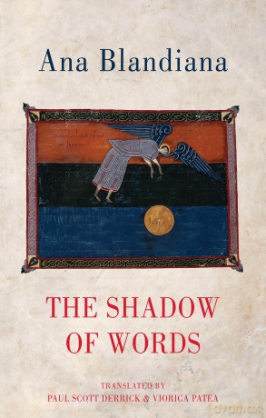 The Shadow of Words [KSIĄŻKA]