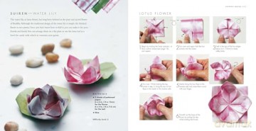 The Simple Art of Japanese Origami: 24 unique step-by-step projects, including 50 pieces of origami paper [KSIĄŻKA]