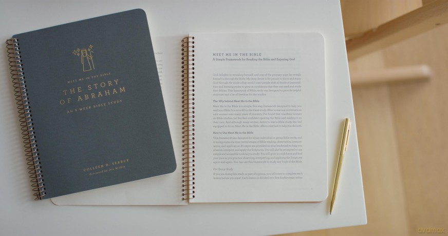 The Story of Abraham: An 8-Week Bible Study [KSIĄŻKA]
