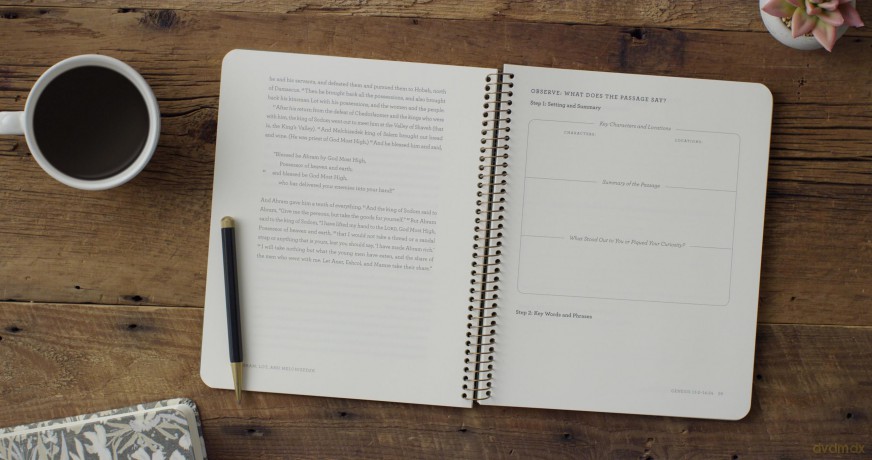 The Story of Abraham: An 8-Week Bible Study [KSIĄŻKA]