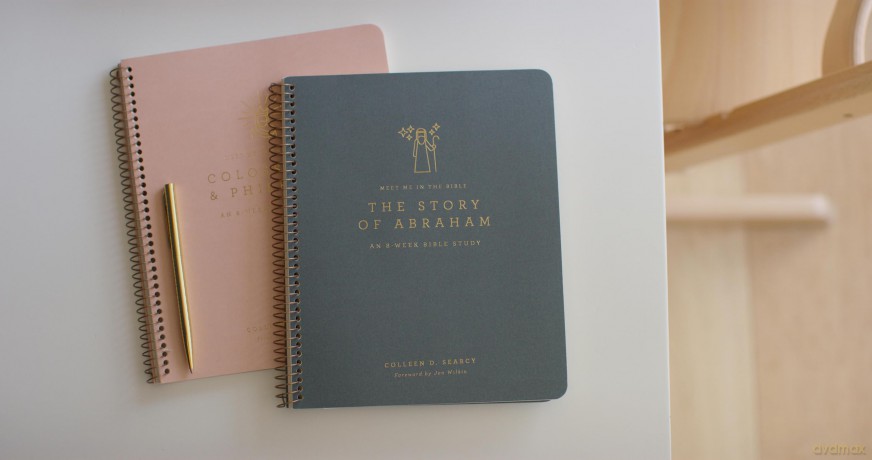 The Story of Abraham: An 8-Week Bible Study [KSIĄŻKA]