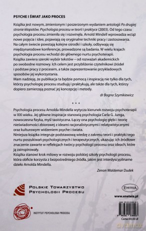 Psychologia procesu. Teoria i praktyka [KSIĄŻKA]