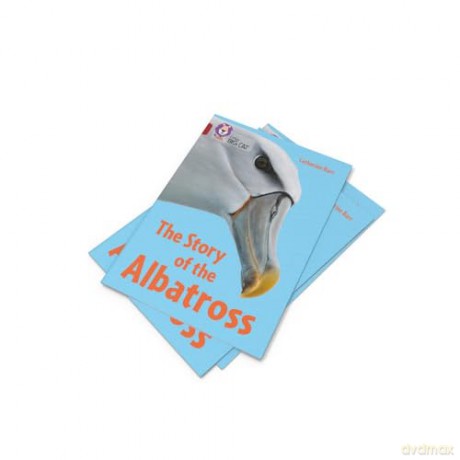 The Story of the Albatross: Band 14/Ruby [KSIĄŻKA]