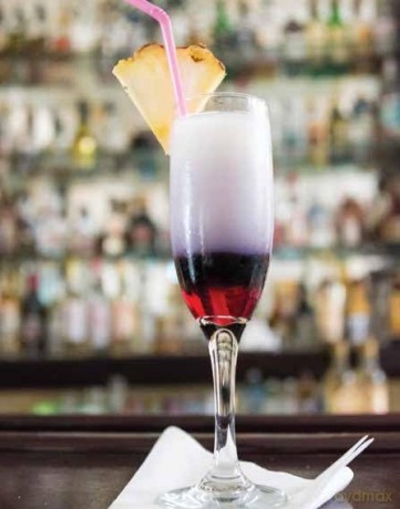 The Stylish Life: Cocktail Parties [KSIĄŻKA]