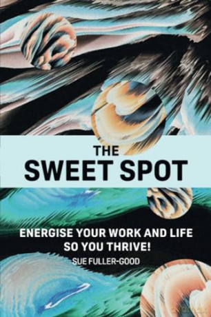 The Sweet Spot: Energise your work and life so you thrive [KSIĄŻKA]